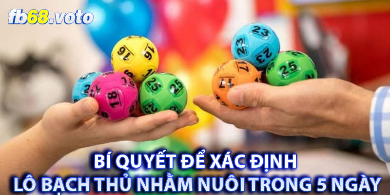 Bí quyết để xác định lô bạch thủ nhằm nuôi trong 5 ngày