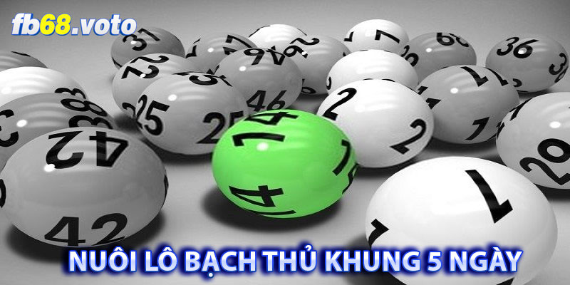 Nuôi Lô Bạch Thủ Khung 5 Ngày